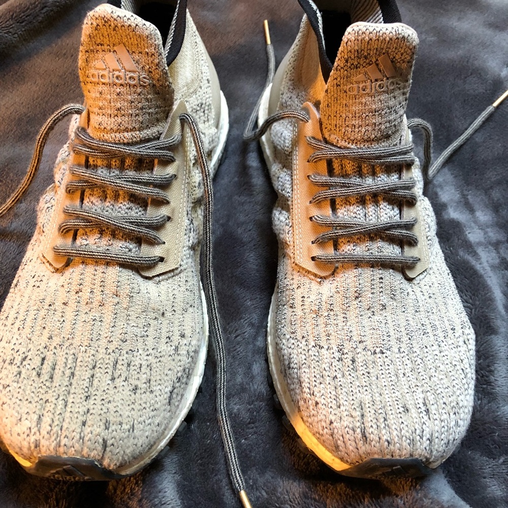 Adidas Ultraboost All terrain (Size 10.5)